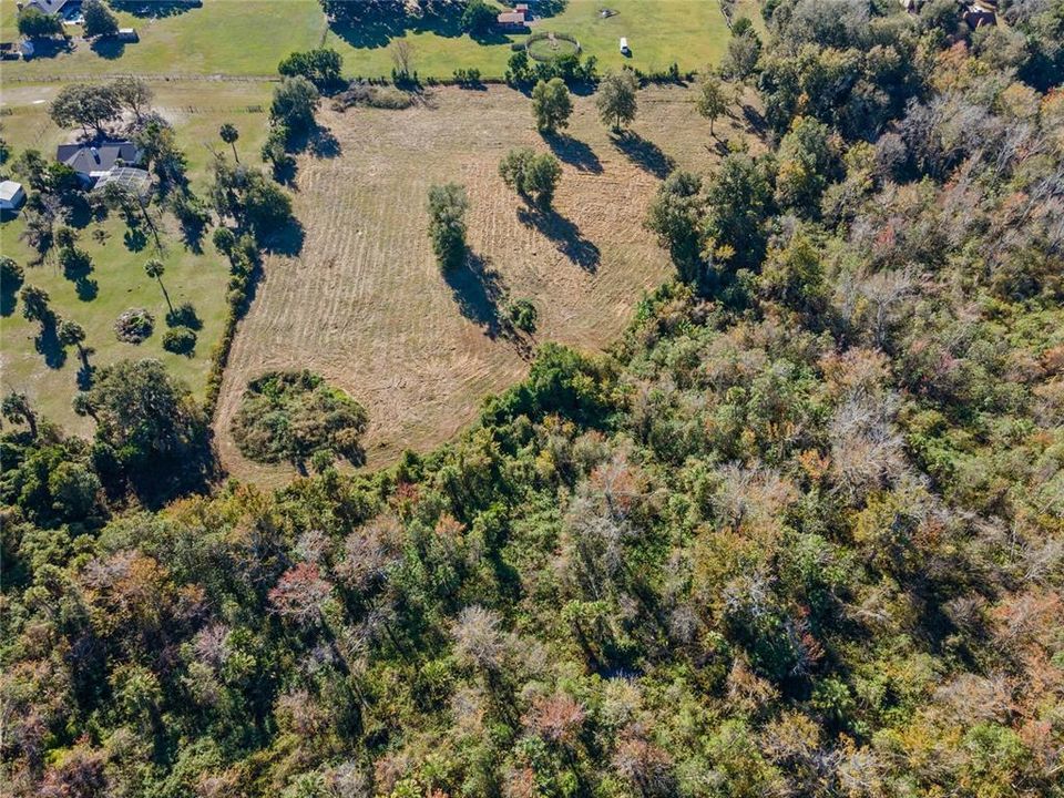 Active With Contract: $325,000 (8.77 acres)