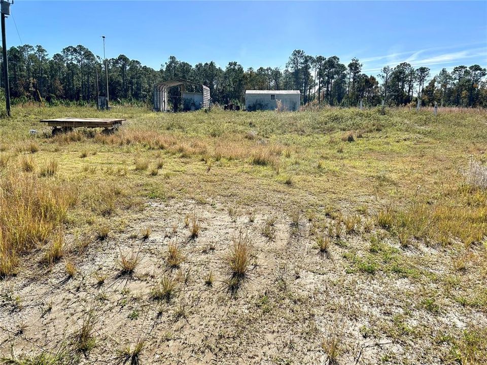 1445 Ormond's Jungle Den Abandoned Structures