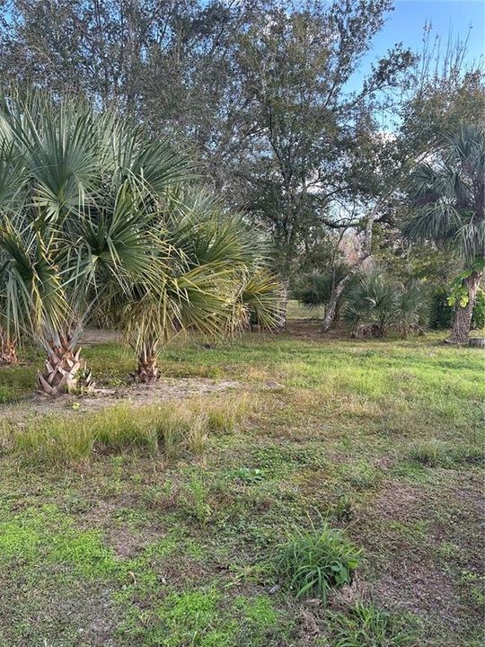 Active With Contract: $40,000 (0.32 acres)