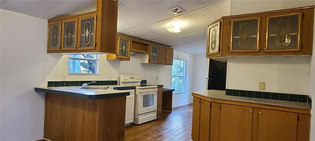 Plenty of cabinet and counter space