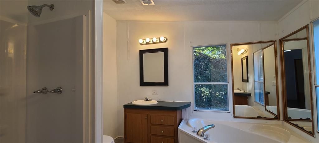 Primary bath with shower tub and separate vanities