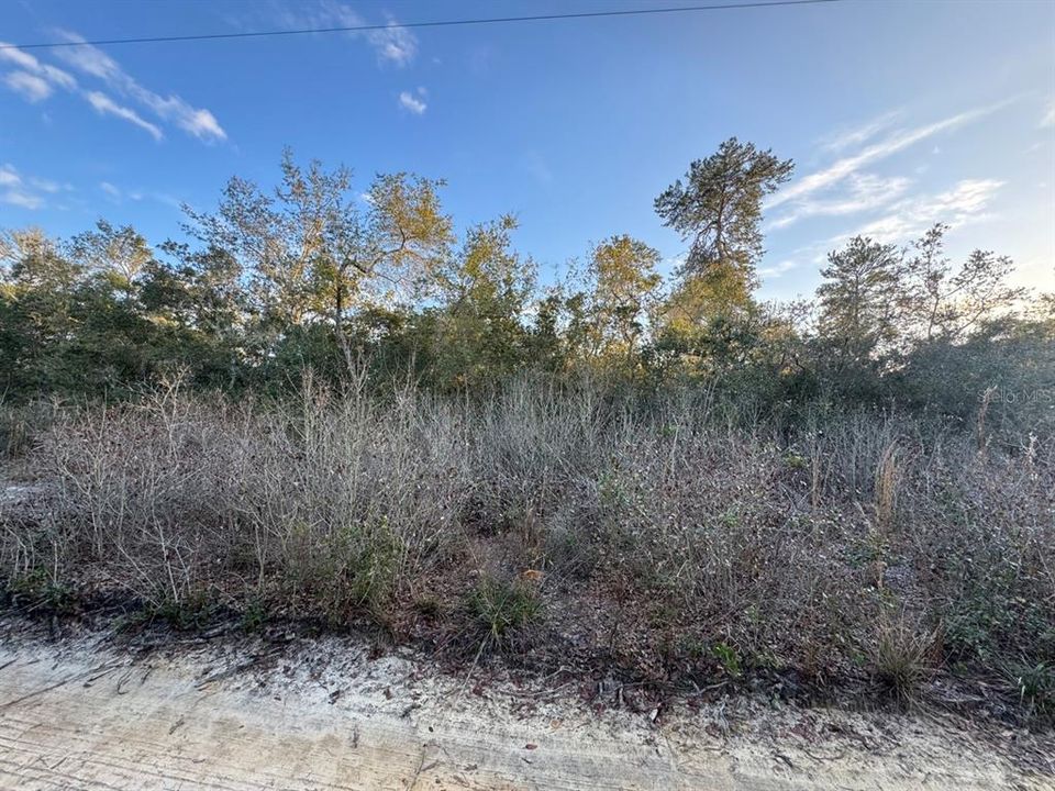 For Sale: $8,000 (0.21 acres)