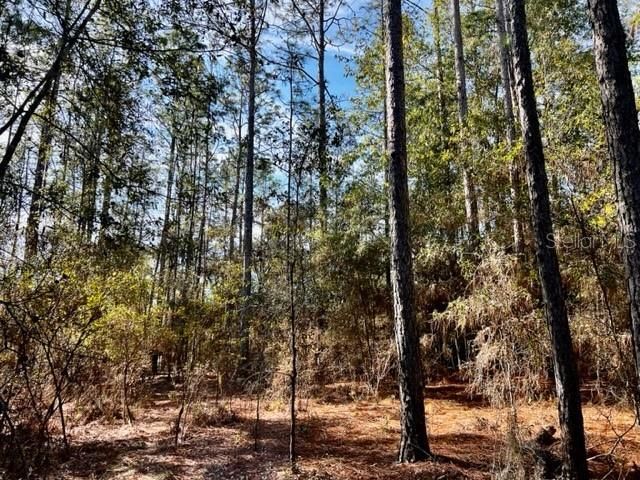 Recently Sold: $42,000 (2.06 acres)