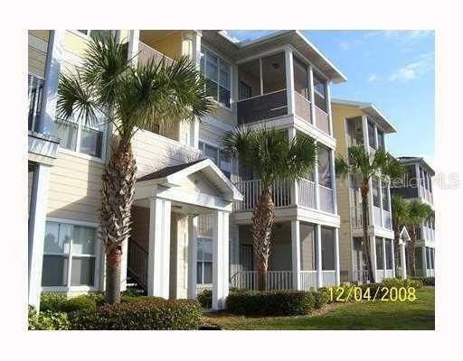 Palms of Cortez #1822