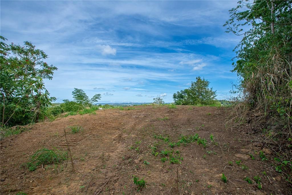 待售: $175,000 (0.89 acres)