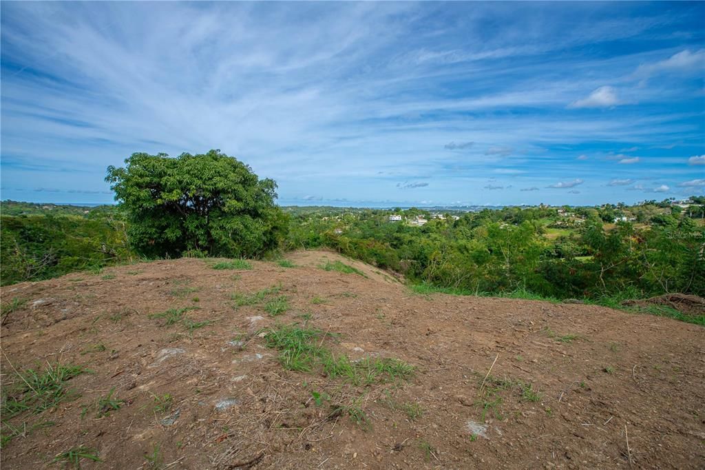 待售: $175,000 (0.89 acres)