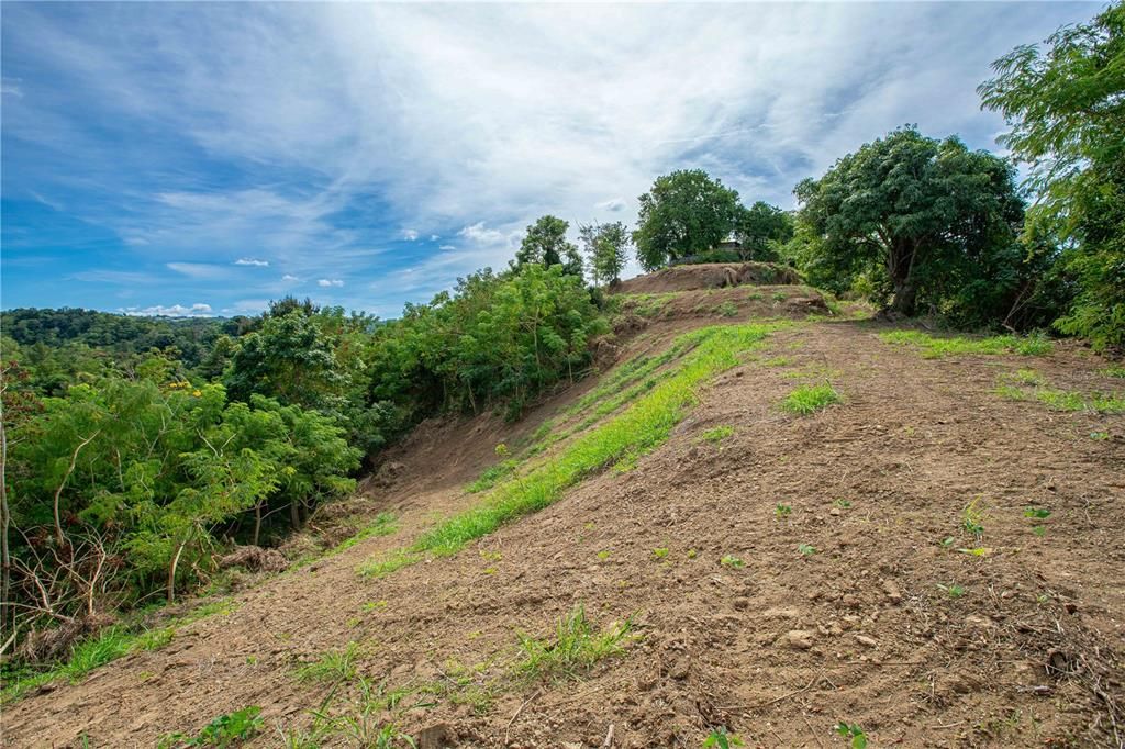 待售: $175,000 (0.89 acres)