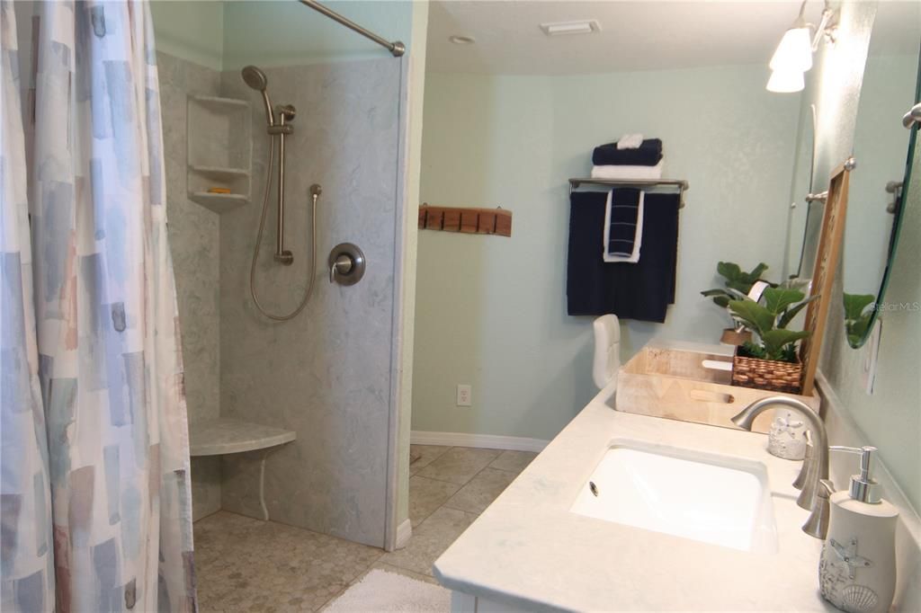 Master bathroom WITH HANDICAP ACCECCIBLE SHOWER and his and hers sinks.