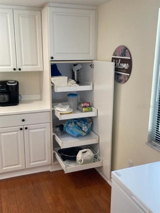 Pull Out Cabinets