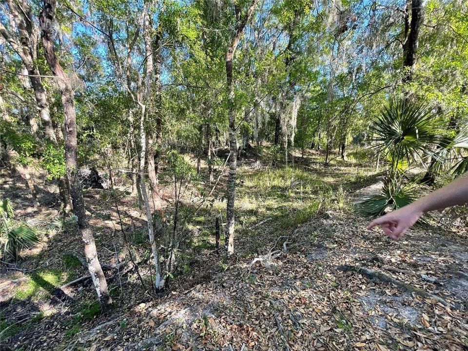 Active With Contract: $100,000 (12.83 acres)