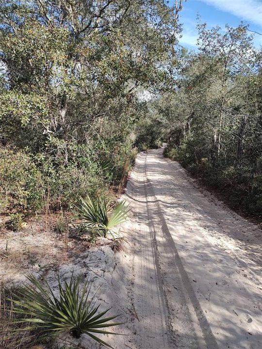 En Venta: $16,000 (0.42 acres)