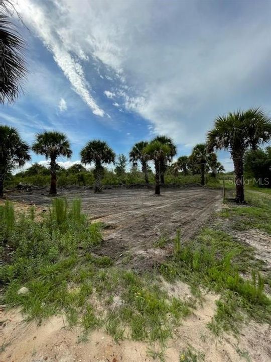For Sale: $89,000 (3.75 acres)