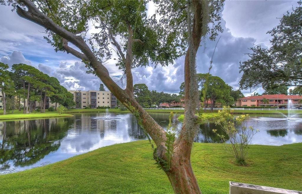 One of Many Ponds in Five Towns