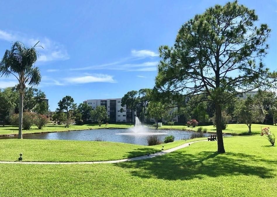 Pond and Walking Trail in Five Towns