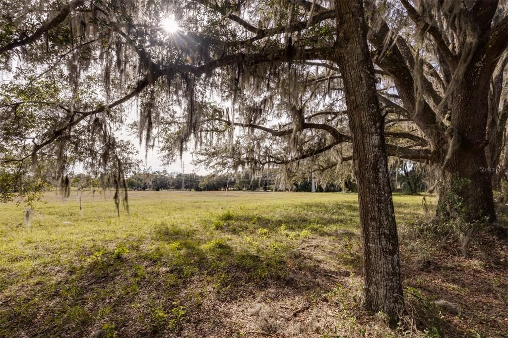 For Sale: $733,120 (9.28 acres)