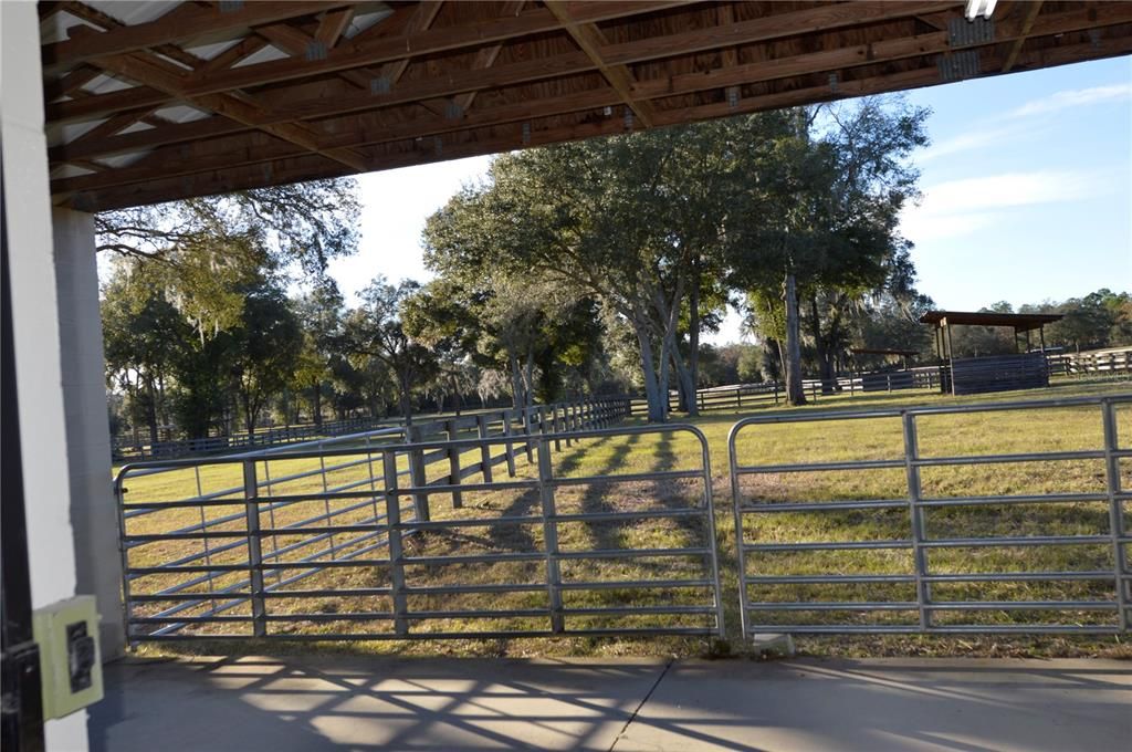 Rear Barn Pasture