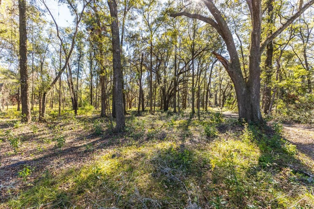 For Sale: $289,900 (15.36 acres)
