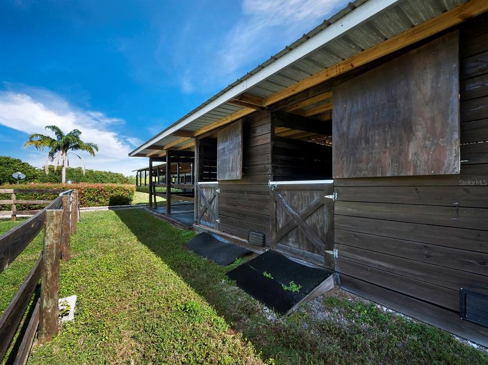 5 stalls with rear doors to paddocks