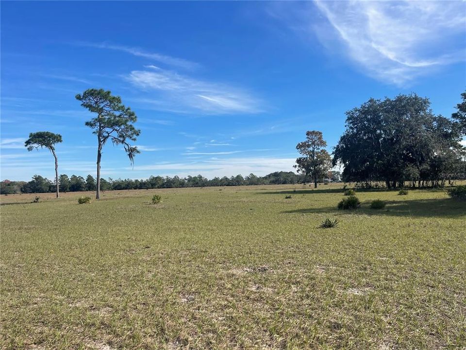 Active With Contract: $1,320,000 (22.00 acres)