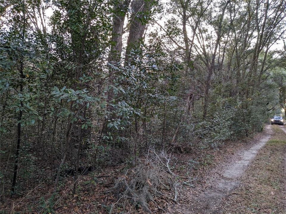 Active With Contract: $45,000 (0.34 acres)