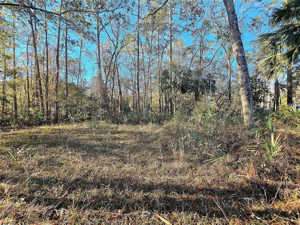 Recently Sold: $92,900 (0.51 acres)