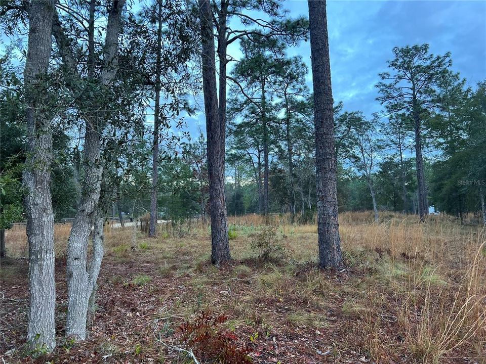 Recently Sold: $64,999 (3.20 acres)