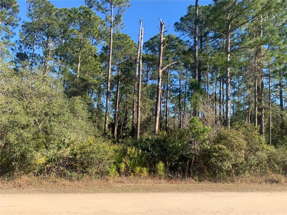 Недавно продано: $18,000 (0.96 acres)