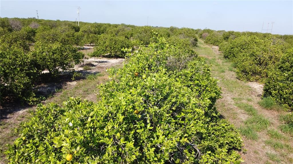 For Sale: $394,000 (8.83 acres)
