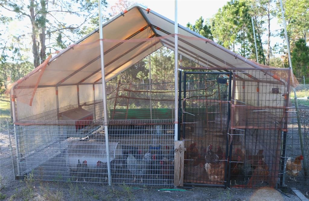 one of 3 chicken pens