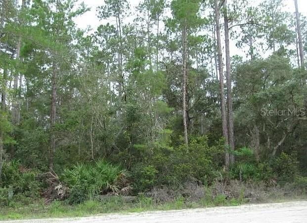 Recently Sold: $28,000 (1.02 acres)