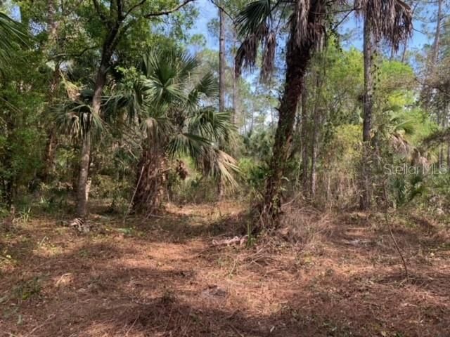 Active With Contract: $55,000 (1.00 acres)