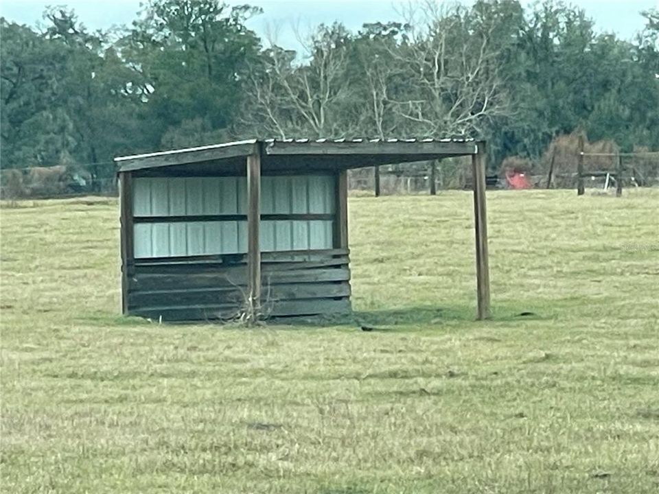 Loafing Sheds in all Pastures