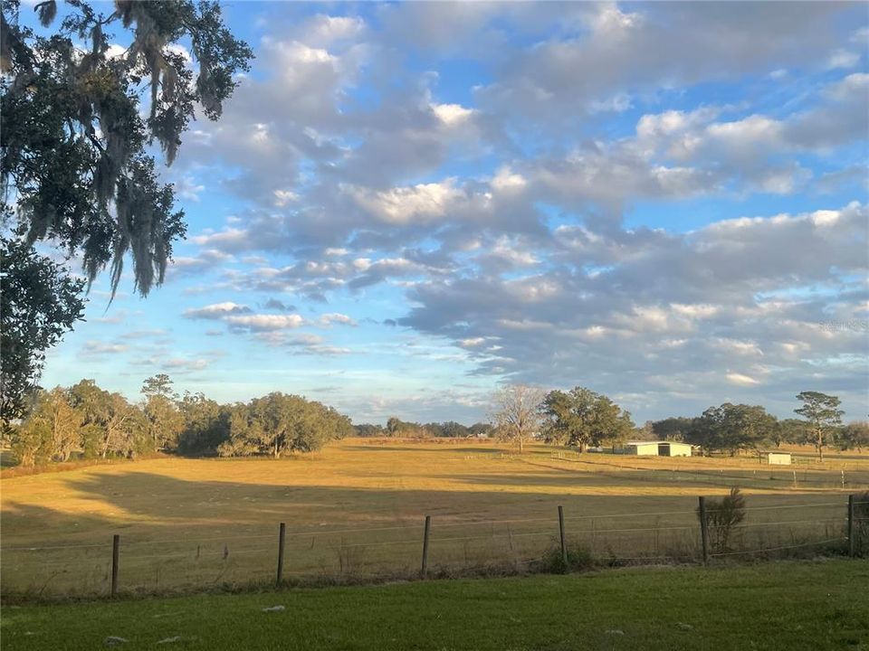 5 Fenced Paddocks/Pastures. Water to all.
