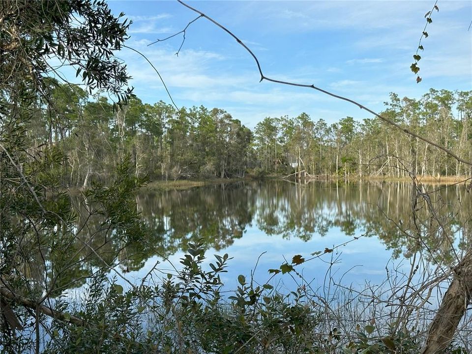 En Venta: $80,000 (0.50 acres)