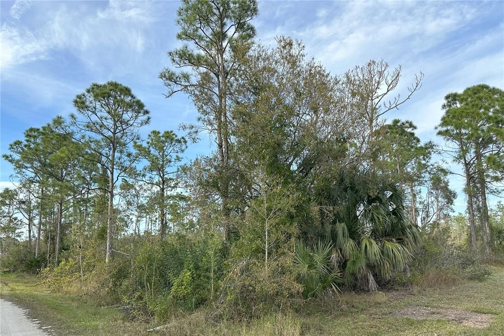 En Venta: $80,000 (0.50 acres)