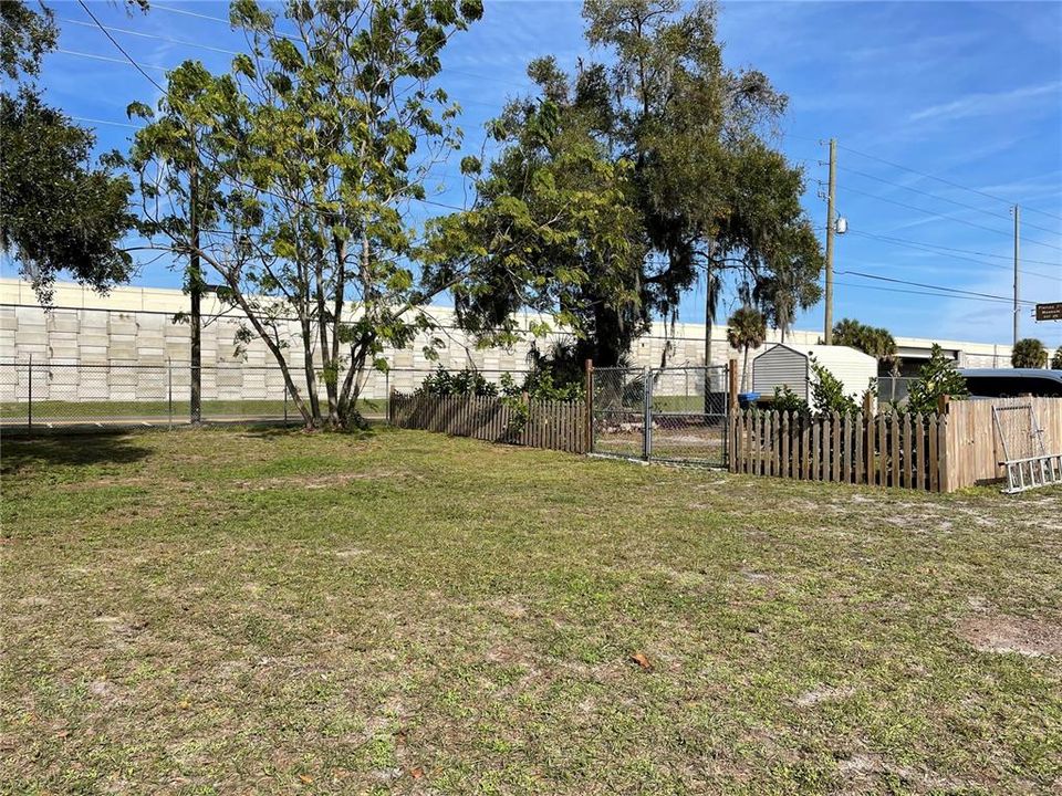 View looking north from center of the back yard