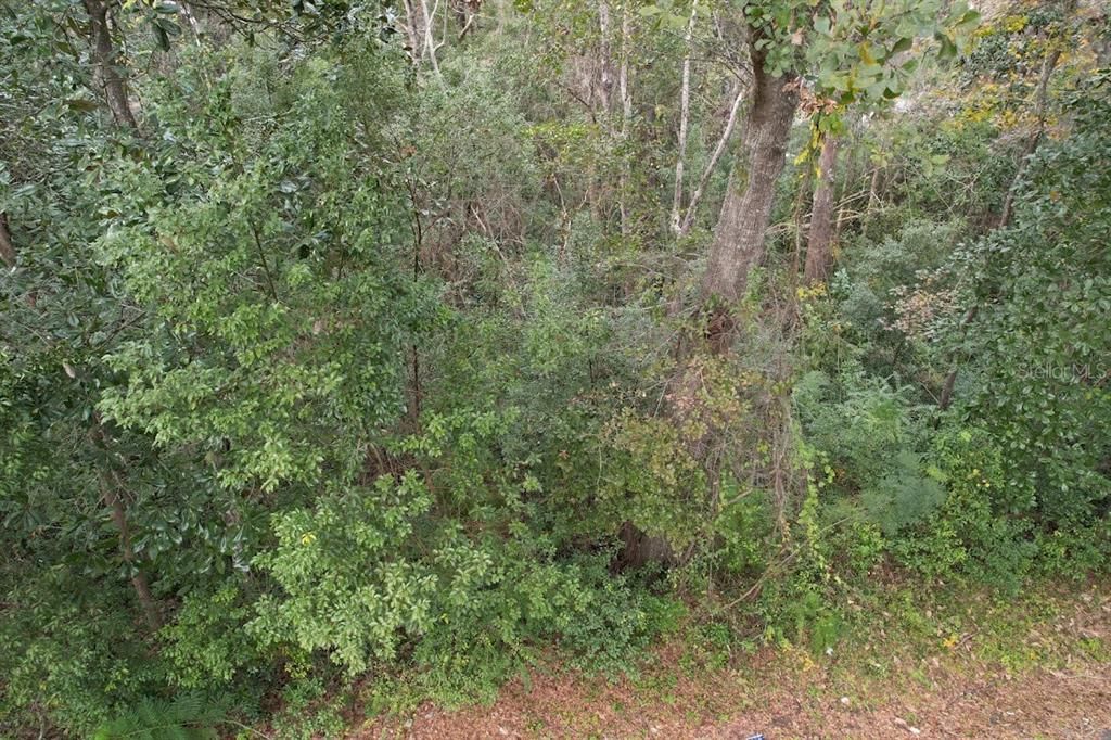 Recently Sold: $3,500 (0.13 acres)