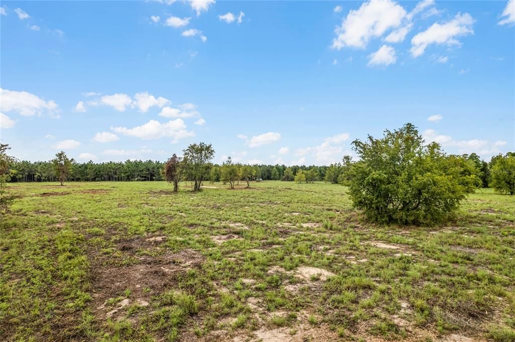 Active With Contract: $525,000 (10.00 acres)