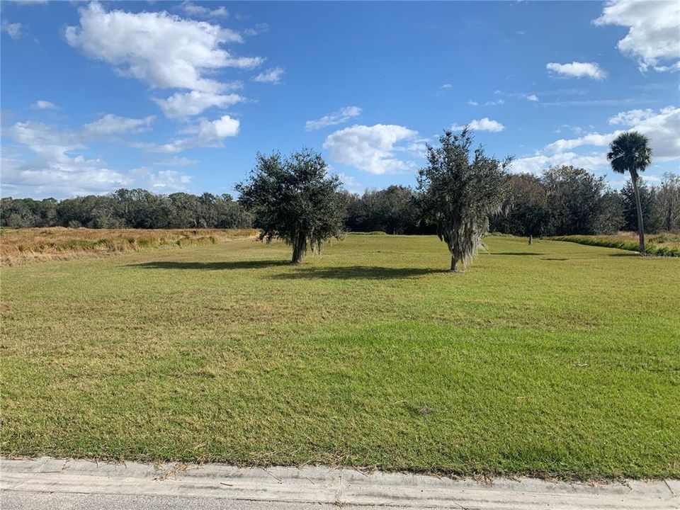 Recently Sold: $230,000 (1.02 acres)