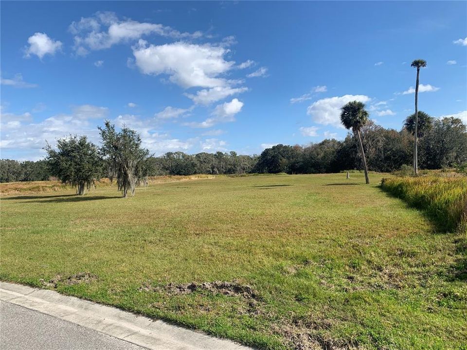 Vendido Recientemente: $230,000 (1.02 acres)