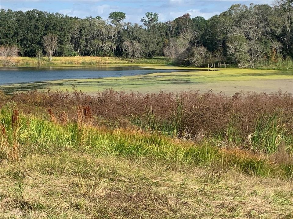 Недавно продано: $230,000 (1.02 acres)