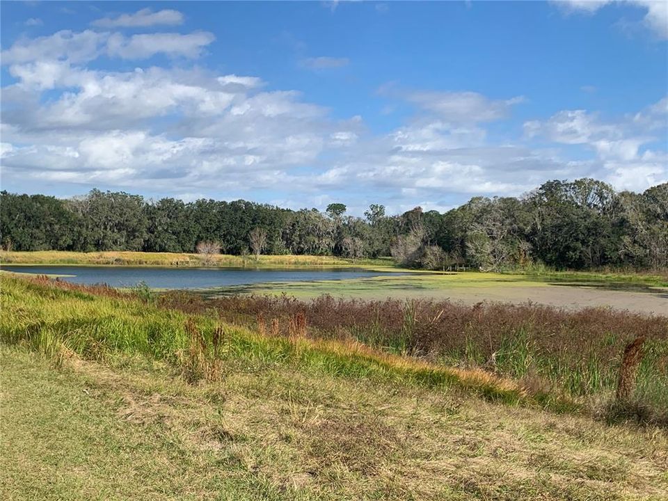 Недавно продано: $230,000 (1.02 acres)