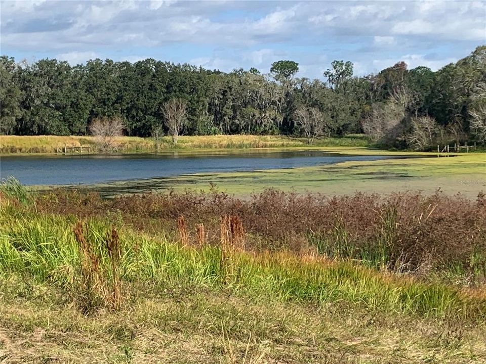 Недавно продано: $230,000 (1.02 acres)