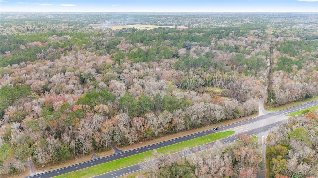 Driveway from Highway 441