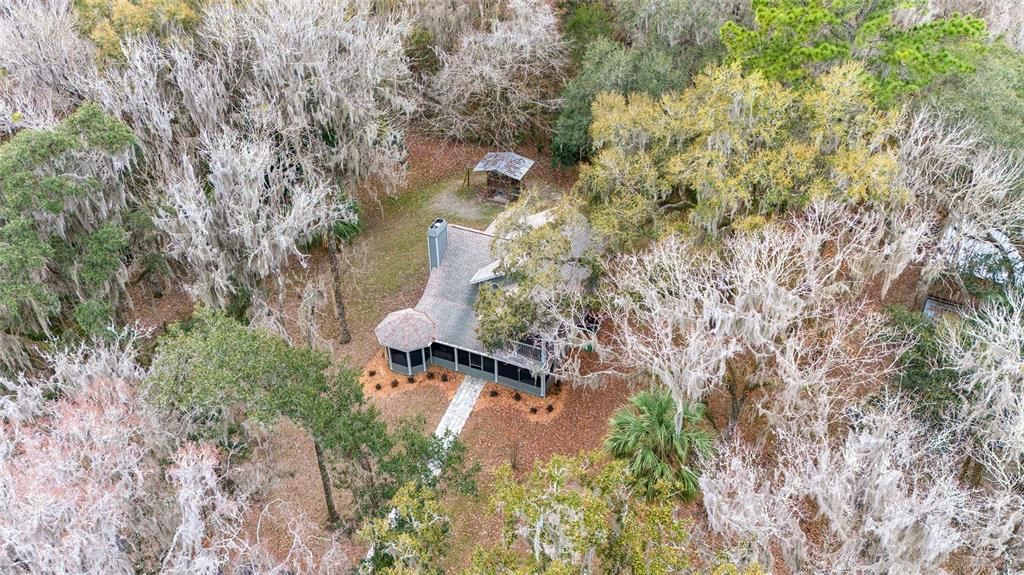 Home is Surrounded by Trees