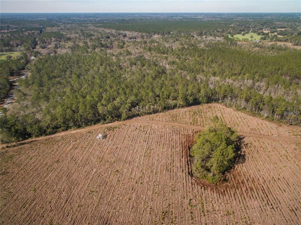 For Sale: $324,900 (40.00 acres)