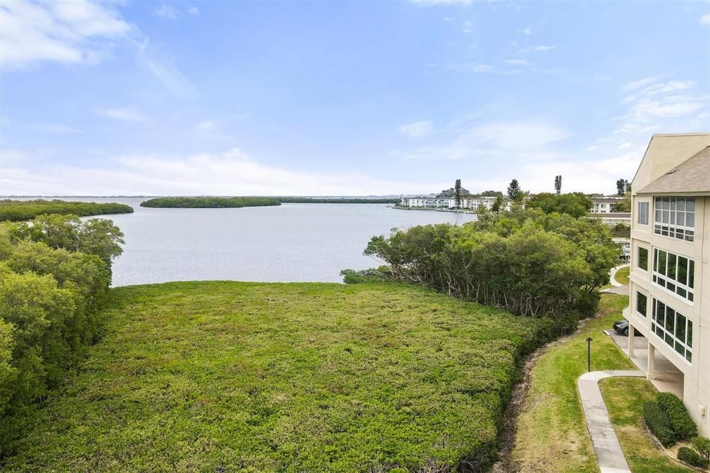 Sarasota Bay Views