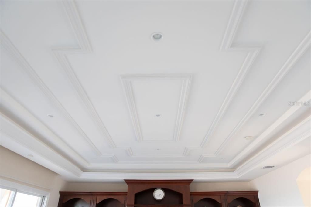 CEILING WITH MOLDING DETAILS