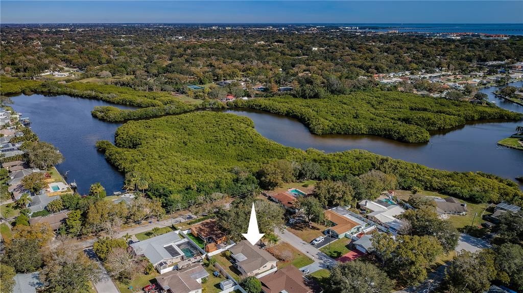 Aerial Allen Creek & Tampa Bay in distance