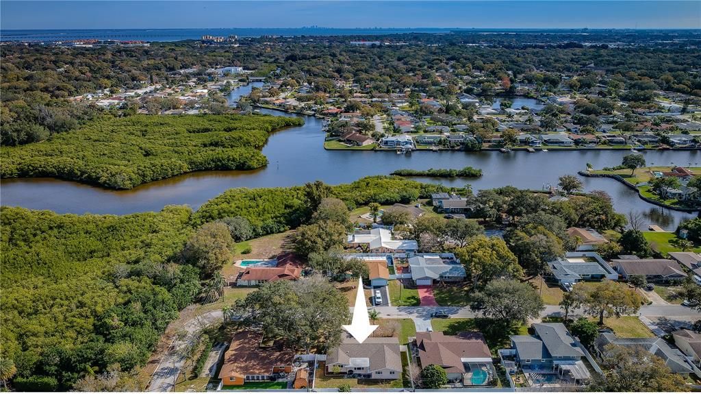 Aerial Allen Creek & Tampa Bay in the distance